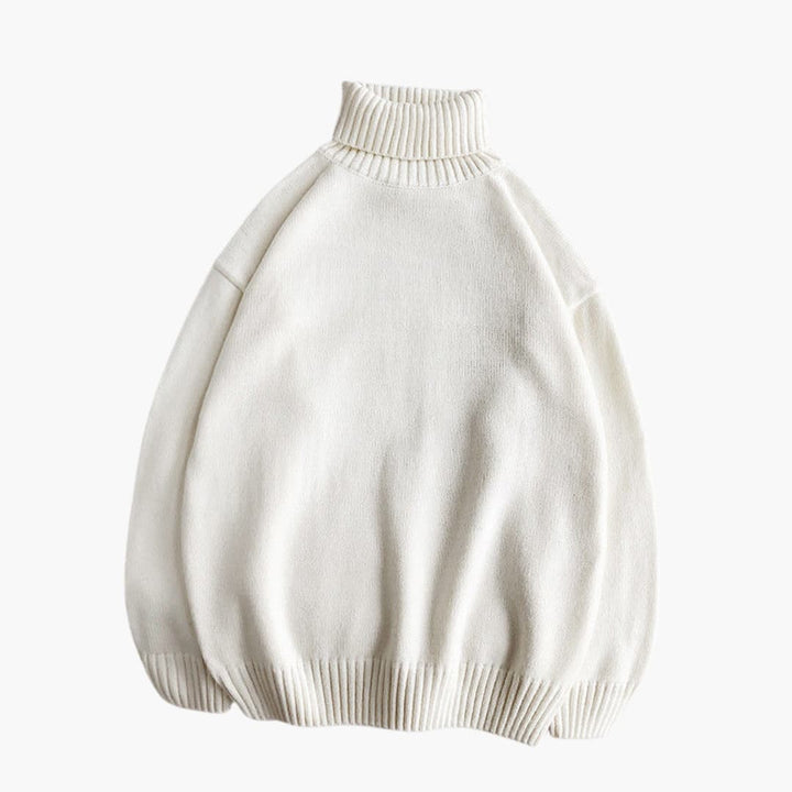 Herren Pullover mit gestricktem Rollkragen