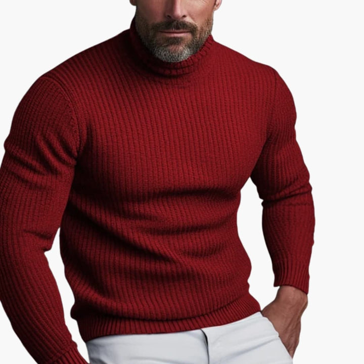 Herren Rollkragenpullover mit Rippstrick Design