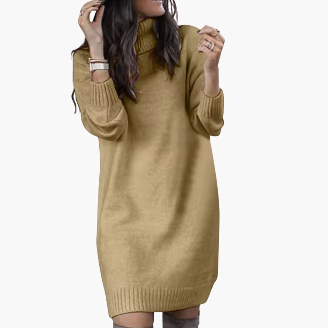 Damen Pulloverkleid mit Rollkragen