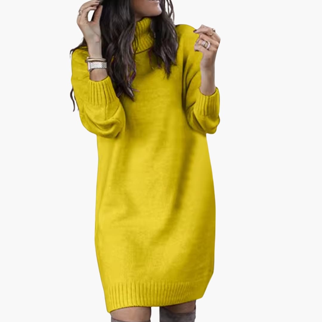 Damen Pulloverkleid mit Rollkragen